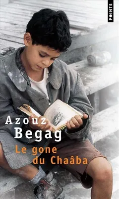 Le Gone du Chaâba, roman