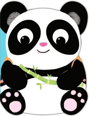 Aventure dans la fôret - Paul le panda