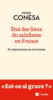 État des lieux du salafisme en France, Du séparatisme au terrorisme