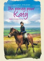 Un poney pour Katy - Tome 3, Une belle surprise