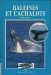Baleines et cachalots
