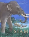 Livres Jeunesse de 3 à 6 ans Albums Siam Daniel Conrod