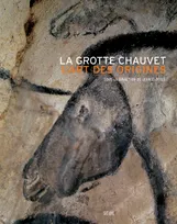 La Grotte Chauvet, L'Art des origines