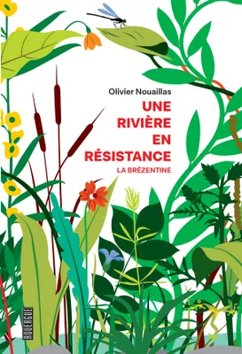 Une rivière en résistance : la Brézentine, La Brézentine