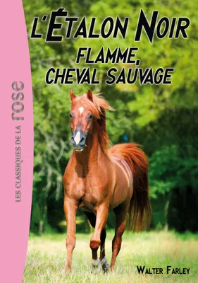 10, L'Étalon Noir 10 - Flamme, cheval sauvage