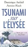 Tsunami sur l'Elysée, pourvu que ce soit une fiction