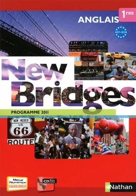New bridges 1res / grand format 2011