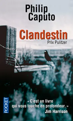 Clandestin, roman