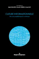 Culture informationnelle, Vers une propédeutique du numérique