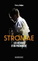 Stromae, Les dessous d'un phénomène