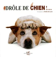 DROLE DE CHIEN !…
