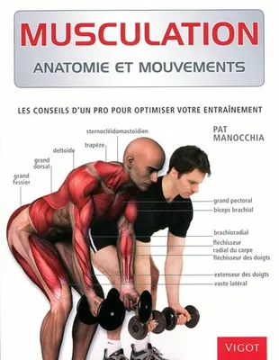 Musculation / anatomie et mouvements : les conseils d'un pro pour optimiser votre entraînement, anatomie et mouvements