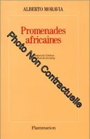 Promenades africaines, roman