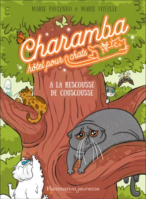 Charamba, hôtel pour chats - À la rescousse de Couscousse, À la rescousse de Couscousse
