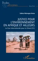 Justice pour l'environnement en Afrique et ailleurs, La cour internationale pour le climat (CIC)