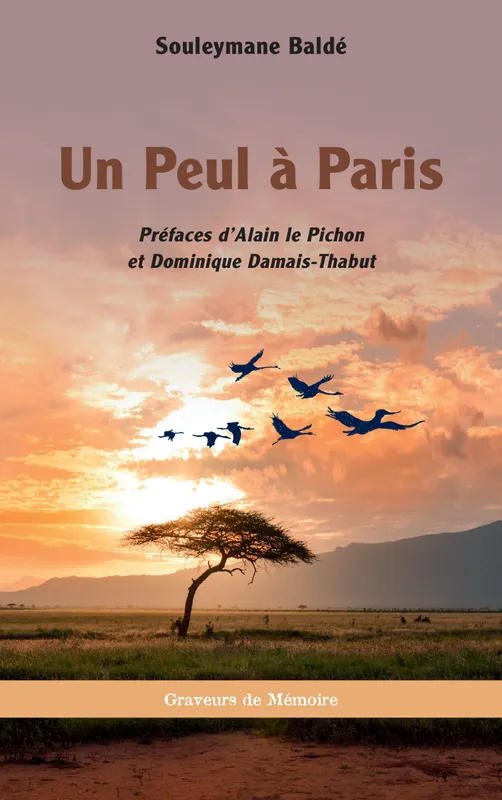 Livres Littérature et Essais littéraires Essais Littéraires et biographies Biographies et mémoires Un Peul à Paris Alain le Pichon