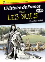L'histoire de France, 7, Histoire de France en BD Pour les Nuls - tome 7 Le Roi-Soleil