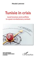 TUNISIA IN CRISIS - LOCAL TENSIONS AND CONFLICTS IN A POST-REVOLUTIONARY CONTEXT, Local tensions and conflicts in a post-revolutionary context